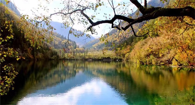 AG旗舰厅 (中国游)集团官网